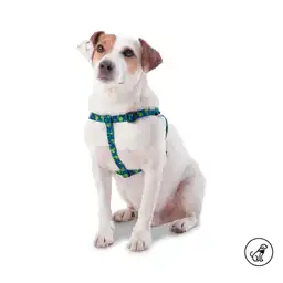 Arnés Para Perro Brunno Xl Azul