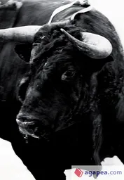 Sangre de Reyes - Carlos Cazalis