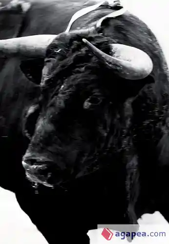 Sangre de Reyes - Carlos Cazalis