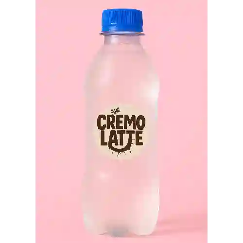 Agua Sin Gas 300 ml