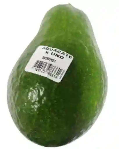 Aguacate