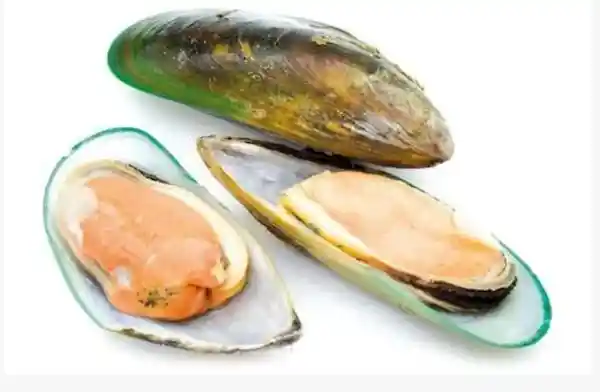 Mejillones Verdes