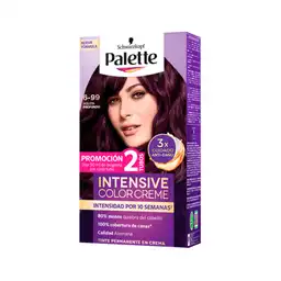 Tinte Palette Intensive Color Creme 6-99 Violeta Profundo