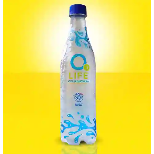 Agua Ozonizada X 500ml