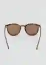 Gafas Porter Chocolate Talla 99 Hombre Mango