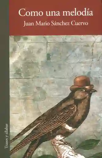 Como Una Melodía - Juan Mario Sánchez Cuervo