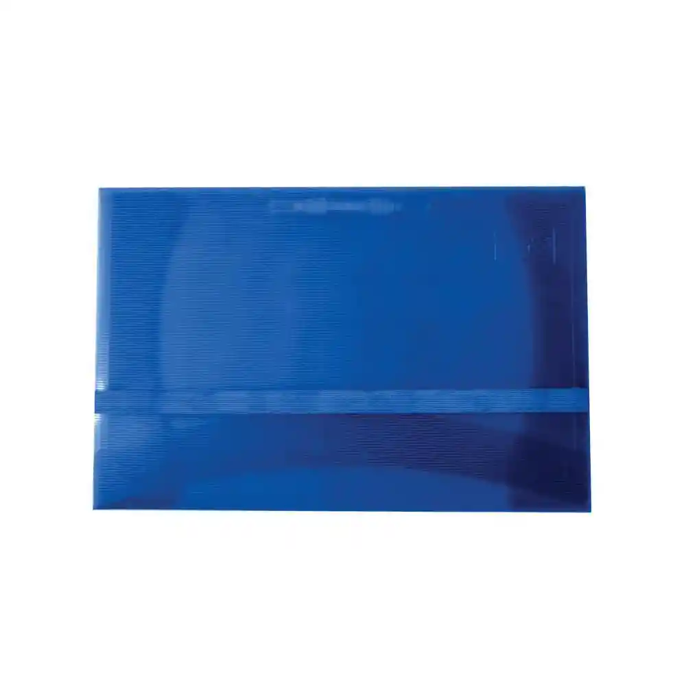 Carpeta Segur Oficio Azul 60 u Scribe