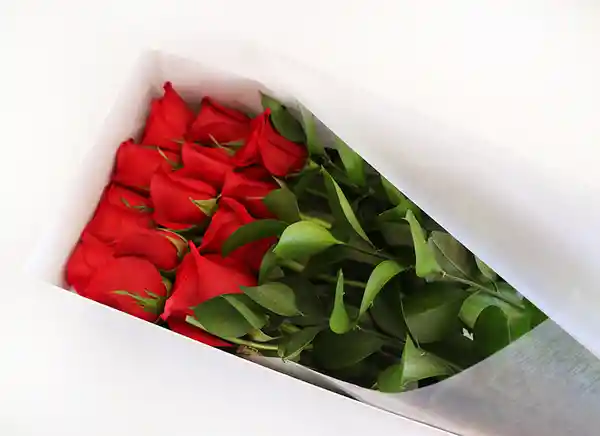 Caja de Rosas 12