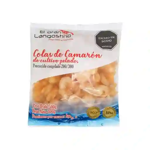 El Gan Langostino Camarón de Cultivo