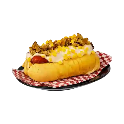Perro Suizo Escoces