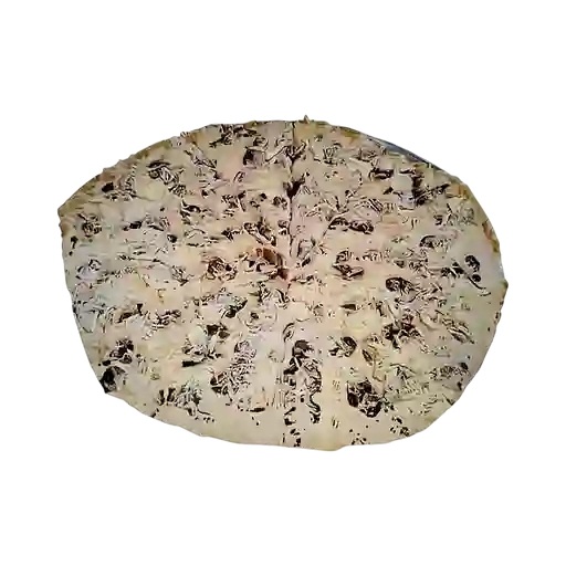 Pizza de Pollo y Champiñón Extralarge