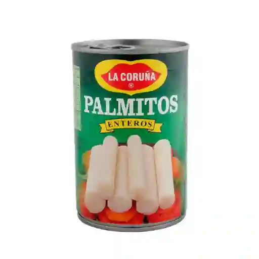 La Coruña Palmito