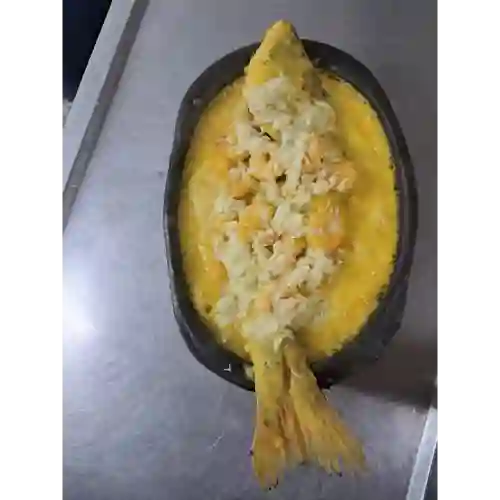 Pargo Rojo en Salsa de Camarones Grande