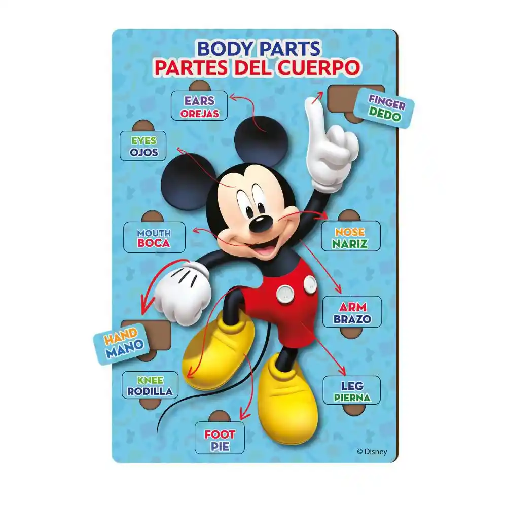 Partes Del Cuerpo Mickey Ronda