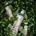 Natural Sant Aceite Coco-Oliva Corporal y Capilar Humectante
