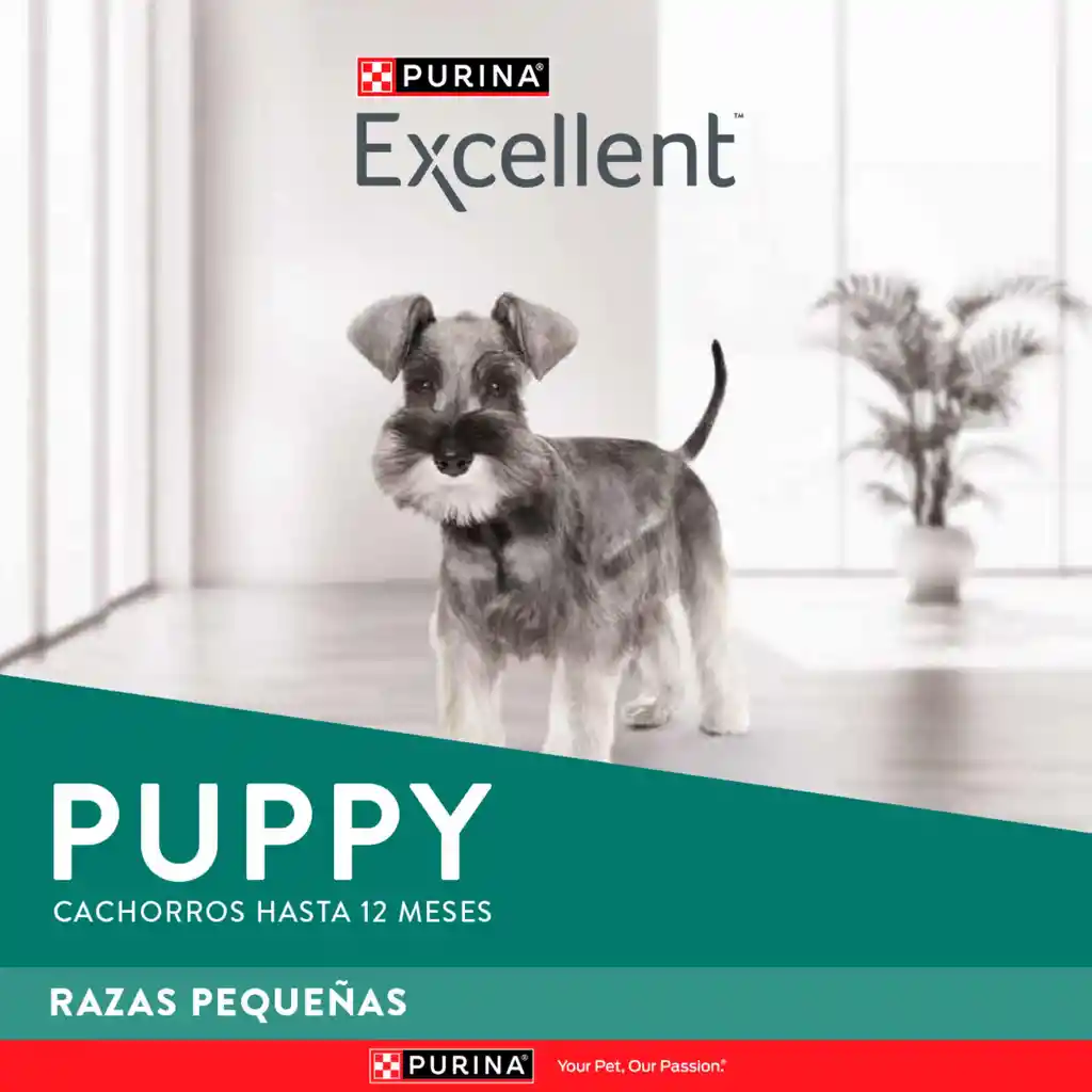 Comida para perros EXCELLENT PUPPY Razas Pequeñas x 3 kg