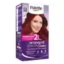 Tinte Palette Color Creme 6-88 Rubí