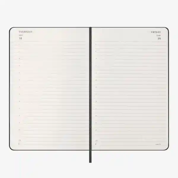 Moleskine Agenda Diaria Negro Grande Hc 2026