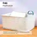 Caja de Plastico Con Cobertura L