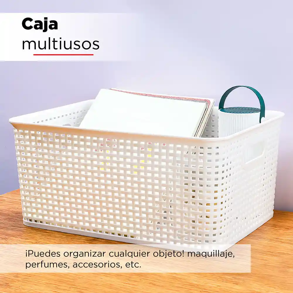 Caja de Plastico Con Cobertura L