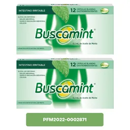 2 x Buscamint
