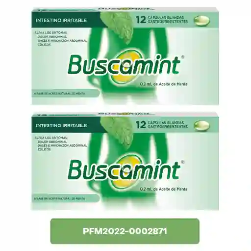 2 x Buscamint