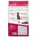 Comida para perros EXCELLENT ADULT Razas Medianas y Grandes x 3 kg