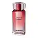 Karl Lagerfeld Fragancia