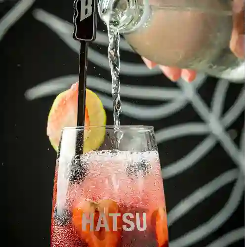 Soda de Frutos Rojos