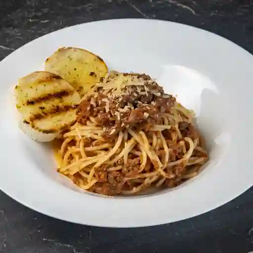 Bolognesa