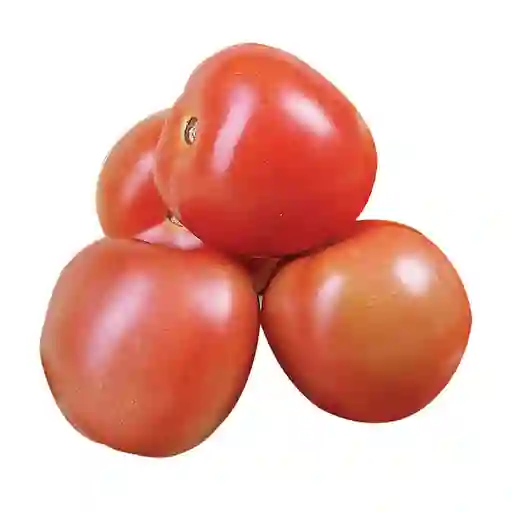Tomate Chonto