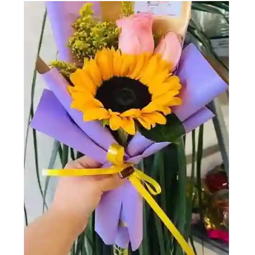 Girasole