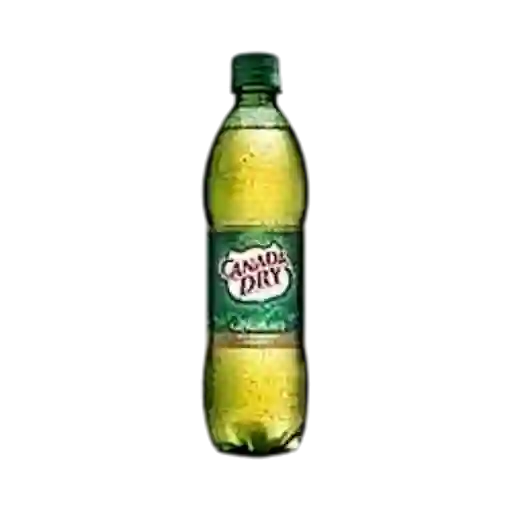 Canada Dry Ginger 400 Ml.