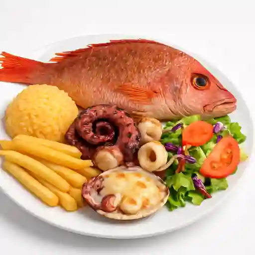 Pargo Rojo Mariscos
