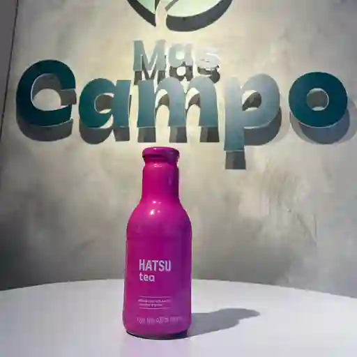 Tea hatsu rosas