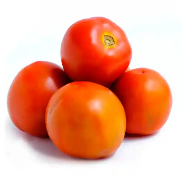 Tomate Chonto Selecto C.a