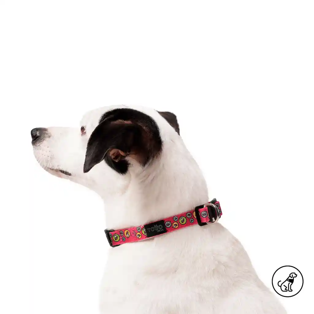 Totto Collar Ajustable Mylu Talla Xs Para Perro Rosado