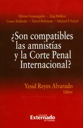 ¿Son Compatibles Las Amnistías y la Corte Penal Internacional?