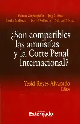 ¿Son Compatibles Las Amnistías y la Corte Penal Internacional?
