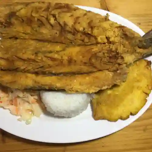 Picuda Frita