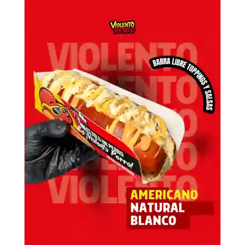 Perro americano tradicional