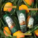 Herbal Essences Acondicionador Bio: Renew 6X Aloe y Mango 250 mL