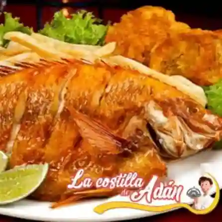 Mojarra Frita