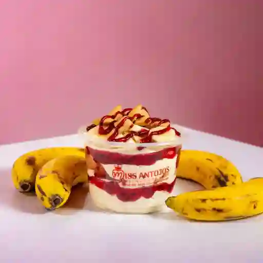 Duraznos con Fruta 16 Oz