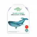 Flash Cards Animales Acuaticos