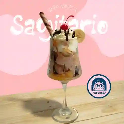 Sagitario - Aventura Tropical