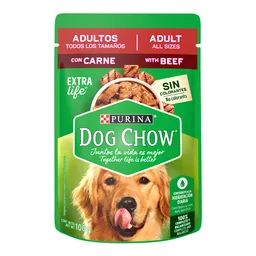 Dog Chow Alimento Humedo Carne Adulto