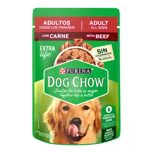 Dog Chow Alimento Humedo Carne Adulto