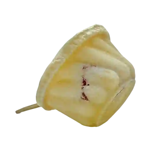 Helado de Queso Bocadillo