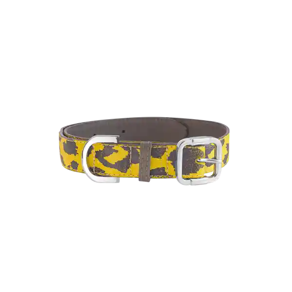 Gdog.Col Collar Amarillo/Negro Mediano